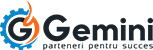 Gemini - echipamente benzinarii